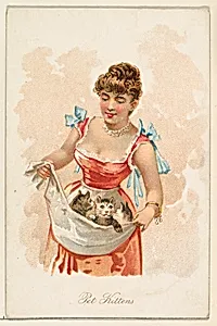 Pet Kittens, from the Household Pets series (N194) issued by Wm. S. Kimball & Co. by American Tobacco Company|Julius Bien & Co.|William S. Kimball & Company