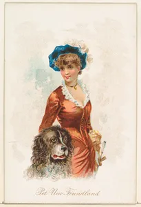 Pet Newfoundland, from the Household Pets series (N194) issued by Wm. S. Kimball & Co.