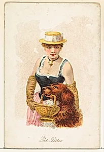 Pet Setter, from the Household Pets series (N194) issued by Wm. S. Kimball & Co. by William S. Kimball & Company|American Tobacco Company|Julius Bien & Co.