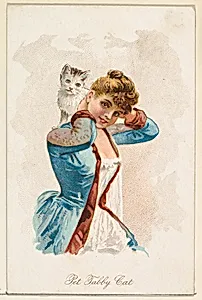 Pet Tabby Cat, from the Household Pets series (N194) issued by Wm. S. Kimball & Co. by Julius Bien & Co.|American Tobacco Company|William S. Kimball & Company