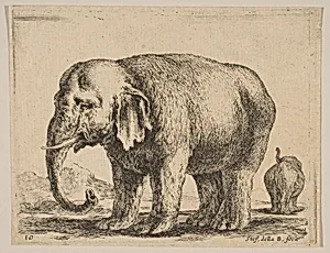 Plate 10: Elephant, from "Various animals" (Diversi animali) by Stefano della Bella|Pierre Mariette