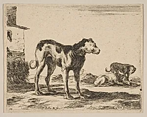 Plate 11: Dogs, from "Various animals" (Diversi animali) by Stefano della Bella