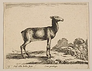 Plate 15: Doe, from "Various animals" (Diversi animali) by Stefano della Bella|Pierre François Basan