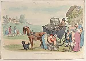 Plate 17, from "World in Miniature"