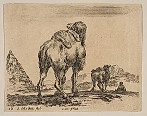 Plate 18: Camel viewed from behind with pyramid at left, from "Various animals" (Diversi animali) by Stefano della Bella|Pierre François Basan