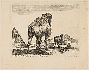 Plate 18: camel viewed from behind with pyramid at left, from 'Various animals' (Diversi animali) by Stefano della Bella|Pierre François Basan