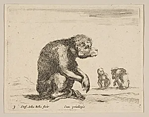 Plate 3: seated monkey, from "Various animals" (Diversi animali) by Stefano della Bella|Pierre François Basan