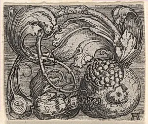 Pomegranate with Tendril by Albrecht Altdorfer