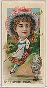 Porcupine Fish, from the series Fishers and Fish (N74) for Duke brand cigarettes by W. Duke, Sons & Co.|Knapp & Company