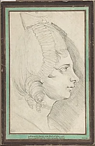 Portrait of a Young Lady Drawn in Left Profile
