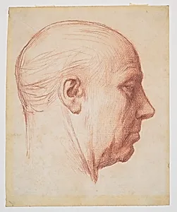 Profile of a Man