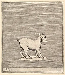 Ram, from "Ex Antiquis Cameorum et Gemmae Delineata"