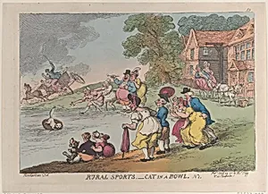 Rural Sports: Cat in a Bowl by Thomas Tegg|Thomas Rowlandson