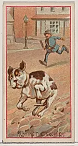 Rushing the Growler, from the Jokes series (N87) for Duke brand cigarettes by W. Duke, Sons & Co.|George S. Harris & Sons