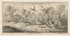 Rusticula, Beccasse (The Woodcock), from "Livre d'Oyseaux" (Book of Birds)