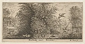 Rusticula minor, Beccassine (The Snipe), from "Livre d'Oyseaux" (Book of Birds) by Albert Flamen