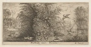 Rusticula minor, Beccassine (The Snipe), from "Livre d'Oyseaux" (Book of Birds)
