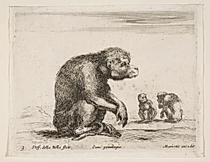 Seated monkey, plate 3 from "Various Animals" (Diversi Animali) by Stefano della Bella|Pierre Mariette