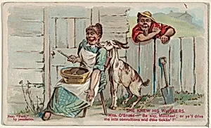She Knew His Whiskers, from the Snapshots from "Puck" series (N128) issued by Duke Sons & Co. to promote Honest Long Cut Tobacco by W. Duke, Sons & Co.|Knapp & Company