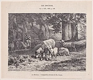 Sheep, from "Le Magasin Pittoresque"