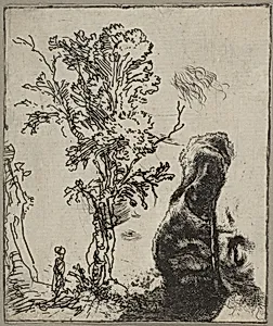 Sheet with Two Studies: A Tree and the Upper Part of a Head of Rembrandt Wearing a Velvet Cap by Rembrandt (Rembrandt van Rijn)