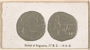 Shekel of Augustus, 27 B.C.-14 A.D., from the Ancient Coins series (N180) issued by Wm. S. Kimball & Co. by William S. Kimball & Company
