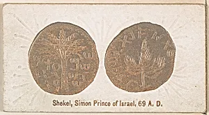 Shekel, Simon Prince of Israel, 69 A.D., from the Ancient Coins series (N180) issued by Wm. S. Kimball & Co. by William S. Kimball & Company
