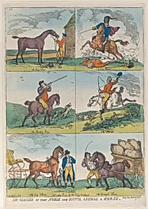 Six Classes of the Noble and Useful Animal a Horse by Thomas Tegg|Thomas Rowlandson