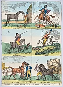Six Classes of the Noble and Useful Animal a Horse by Thomas Rowlandson|Thomas Tegg