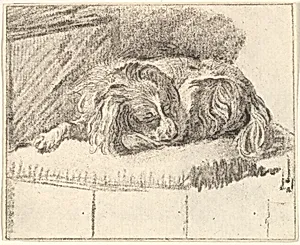 Sleeping Dog