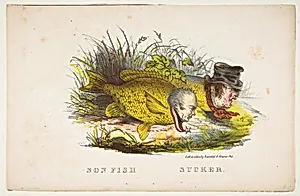 Son Fish and Sucker, from The Comic Natural History of the Human Race by Henry Louis Stephens|Rosenthal|Samuel Robinson