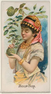 Sour Sop, from the Fruits series (N12) for Allen & Ginter Cigarettes Brands