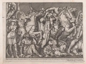 Speculum Romanae Magnificentiae: Battle of the Amazons