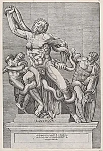 Speculum Romanae Magnificentiae: Laocoon