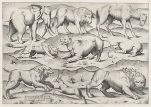Speculum Romanae Magnificentiae: Wild Animals, from antique wall paintings, plate 1