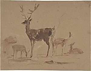 Stag and Its Young