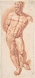 Standing Male Nude