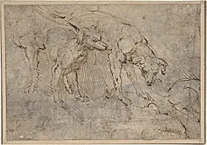 Studies of a Dog