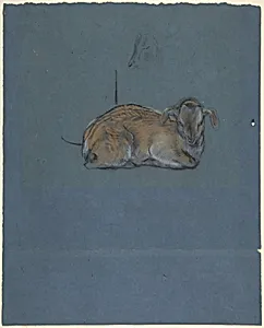 Studies of a Kid or Fawn