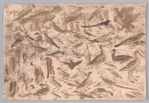 Studies of Birds (recto); Village Scene with Skaters (verso)