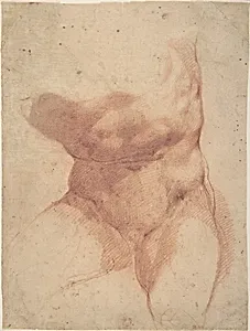 Study after the Belvedere Torso