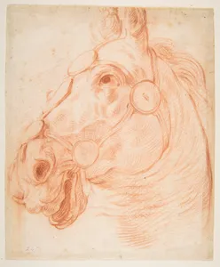Study for a Horse's Head