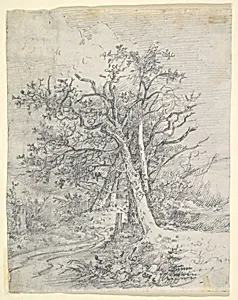 Study for Tree Trunks and Lane