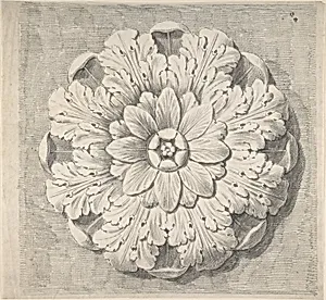 Study of a Classical Rosette
