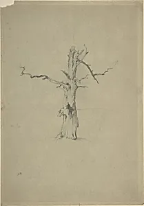 Study of a Dead Tree