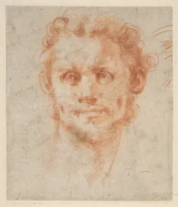 Study of a Man's Head