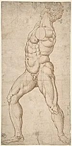Study of a Standing Male Nude