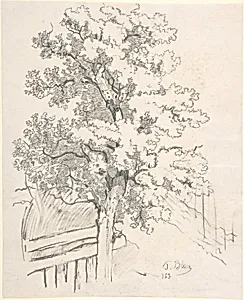 Study of a Tree by Tina Blau
