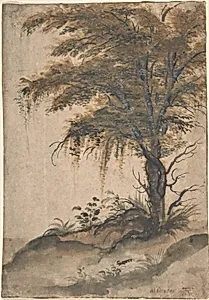 Study of a Tree