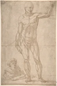 Study of Anatomy (A Youth Drawing an Ecorché of a Standing Man)